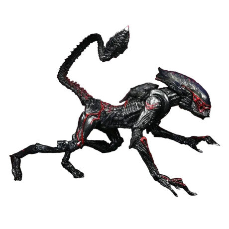 Aliens- Night Cougar Alien